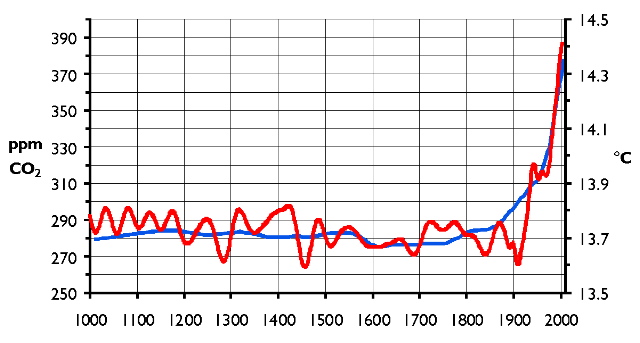 Global temperatures for the past millennium